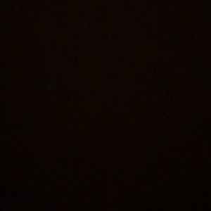 Meet your Posher, Gus